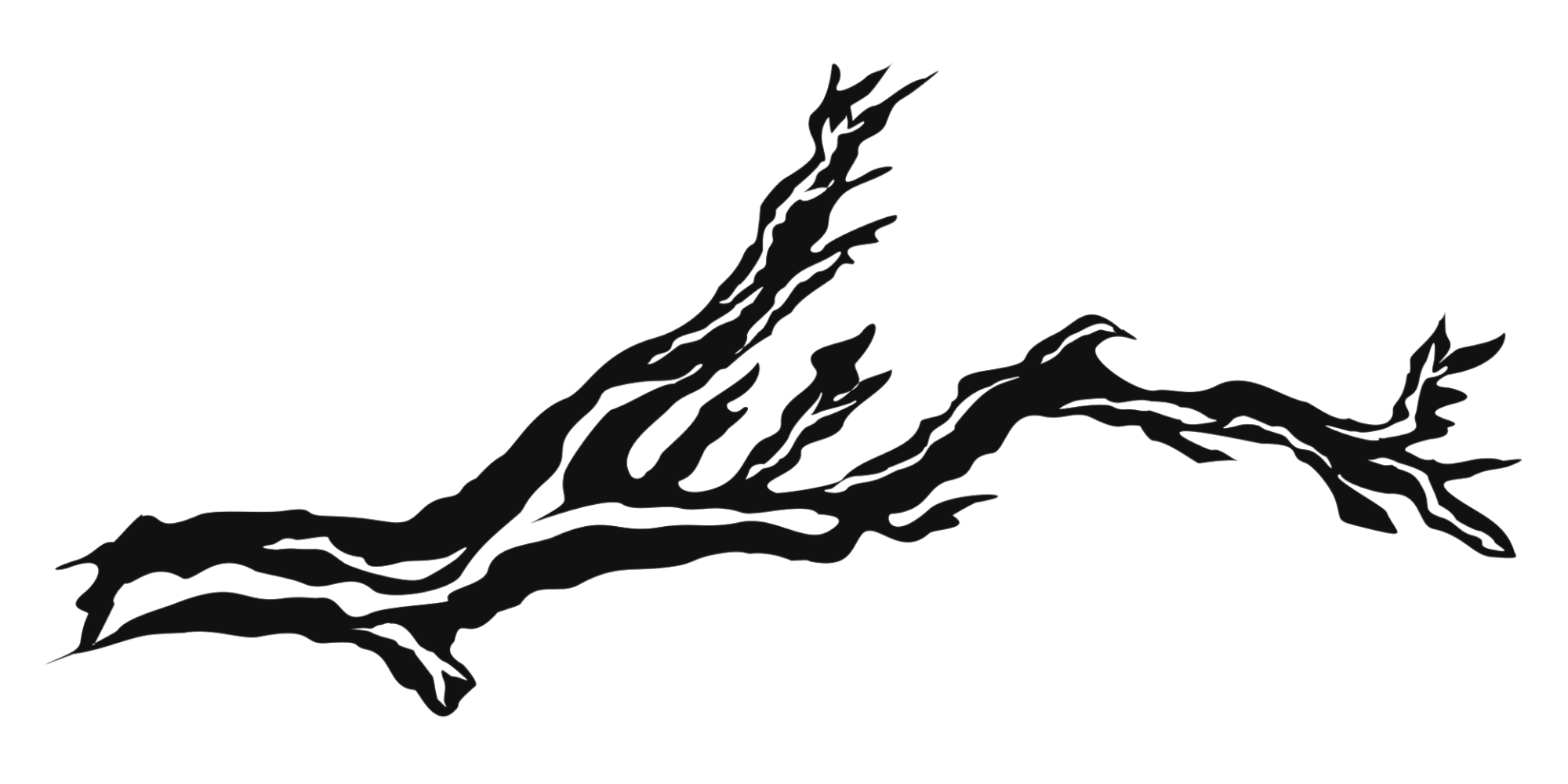 Driftwood Apparel branch mark
